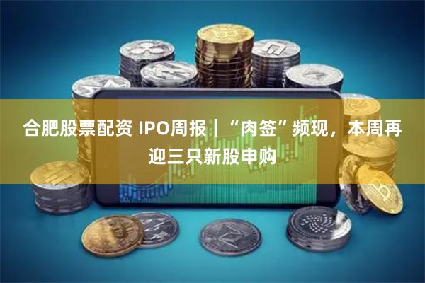 合肥股票配资 IPO周报｜“肉签”频现，本周再迎三只新股申购