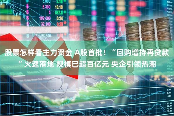 股票怎样看主力资金 A股首批！“回购增持再贷款”火速落地 规模已超百亿元 央企引领热潮