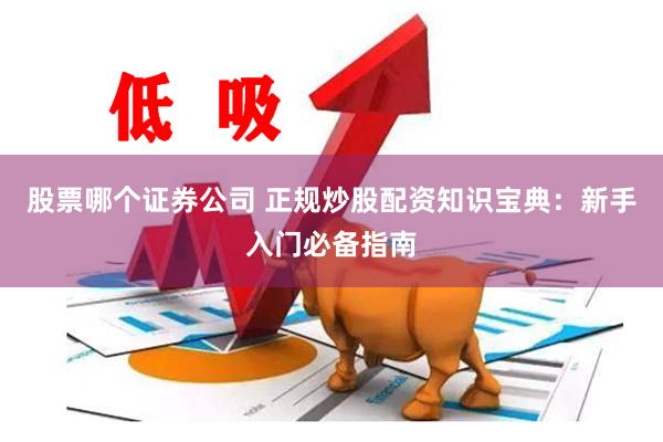 股票哪个证券公司 正规炒股配资知识宝典：新手入门必备指南