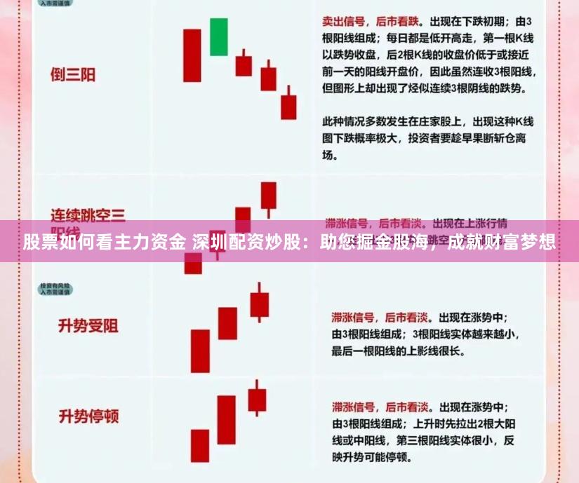 股票如何看主力资金 深圳配资炒股：助您掘金股海，成就财富梦想