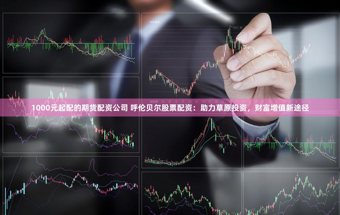 1000元起配的期货配资公司 呼伦贝尔股票配资：助力草原投资，财富增值新途径