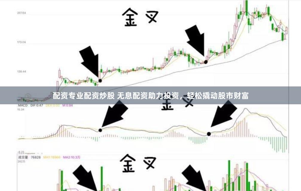 配资专业配资炒股 无息配资助力投资，轻松撬动股市财富