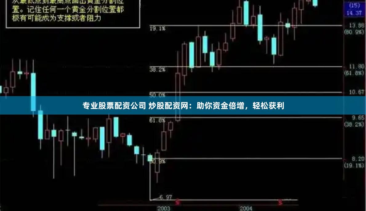 专业股票配资公司 炒股配资网：助你资金倍增，轻松获利