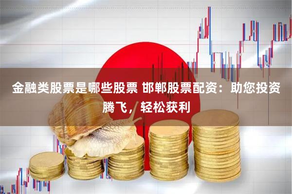 金融类股票是哪些股票 邯郸股票配资：助您投资腾飞，轻松获利