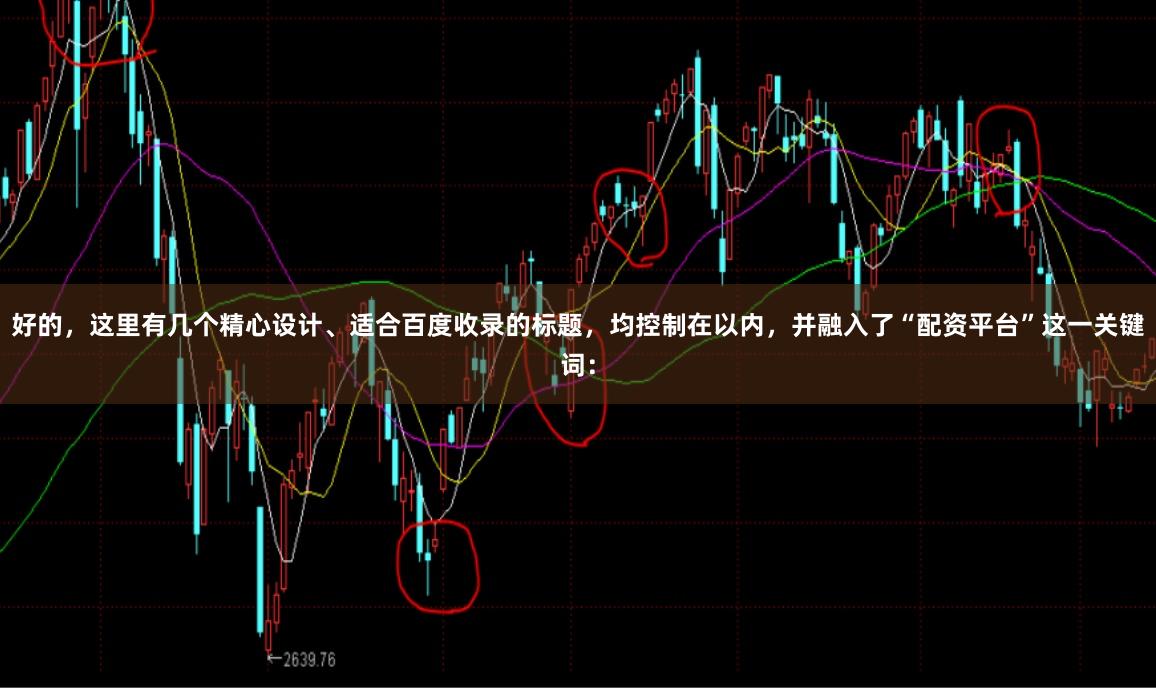 好的，这里有几个精心设计、适合百度收录的标题，均控制在以内，并融入了“配资平台”这一关键词：