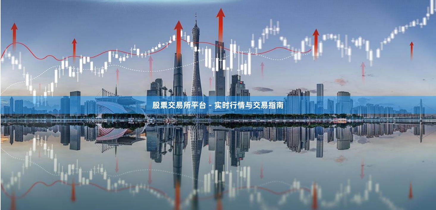 股票交易所平台 - 实时行情与交易指南