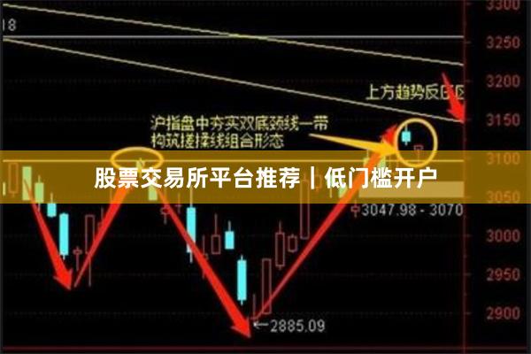 股票交易所平台推荐｜低门槛开户